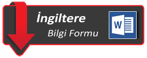 İngiltere vize formu